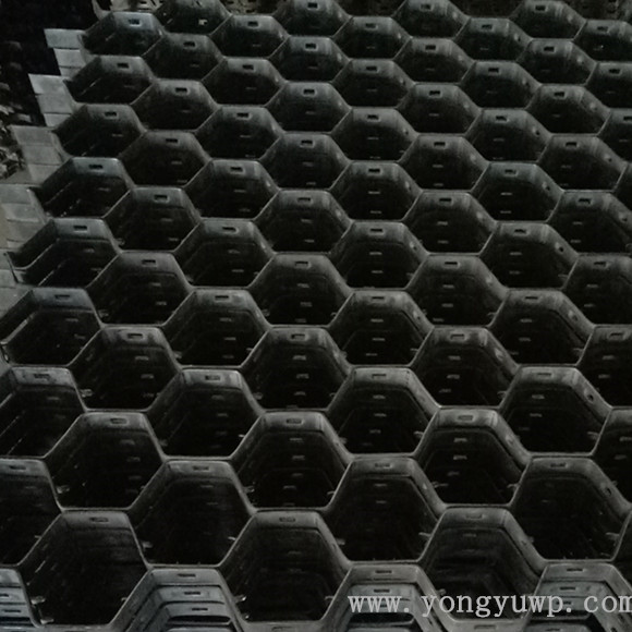 龜甲網(wǎng) 龜甲網(wǎng)