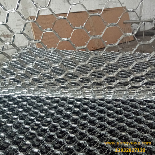 六邊型龜甲網龜背網 六邊型龜甲網龜背網